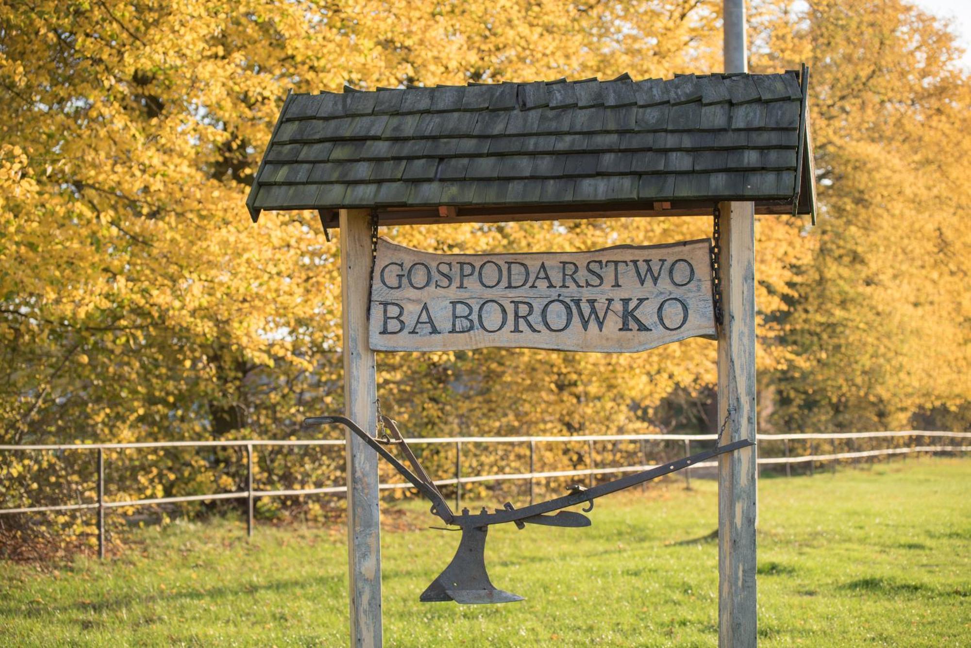 Palac Baborowko Szamotuły エクステリア 写真